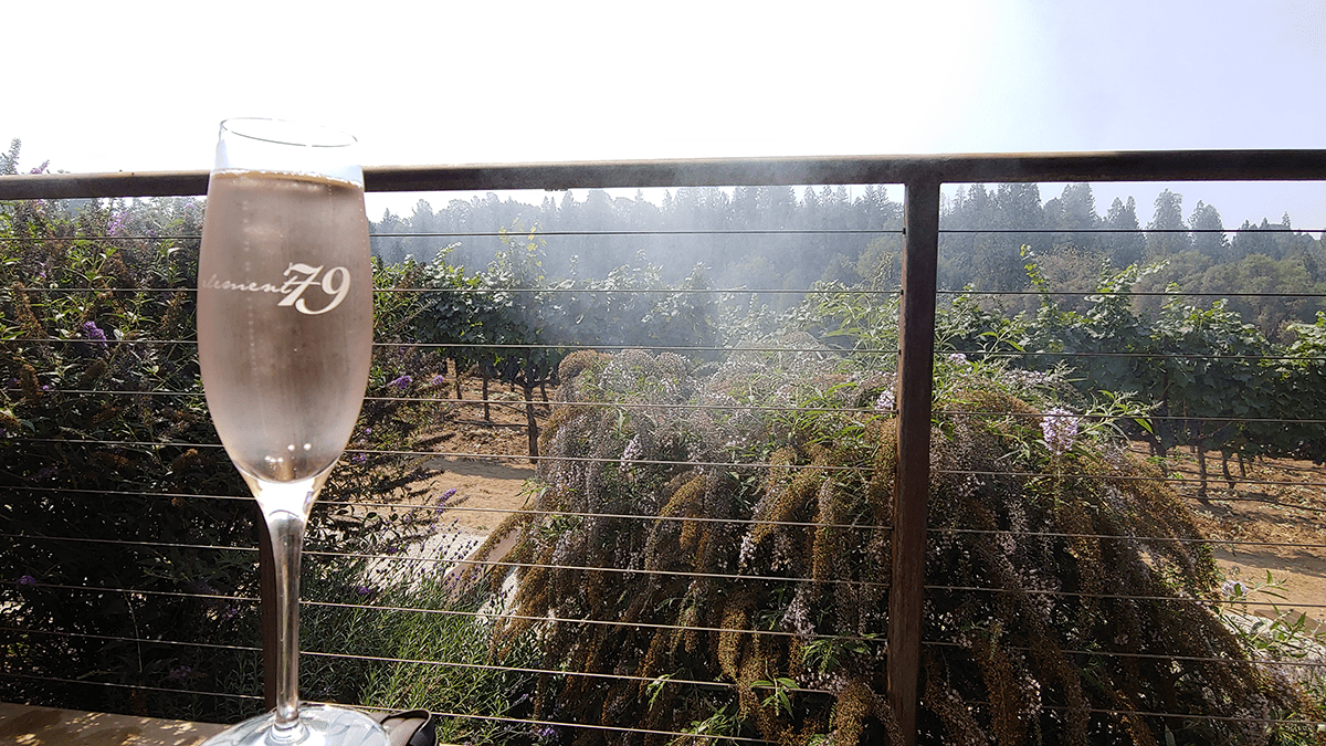 Glass of sparking rose in front of blooming vineyards.